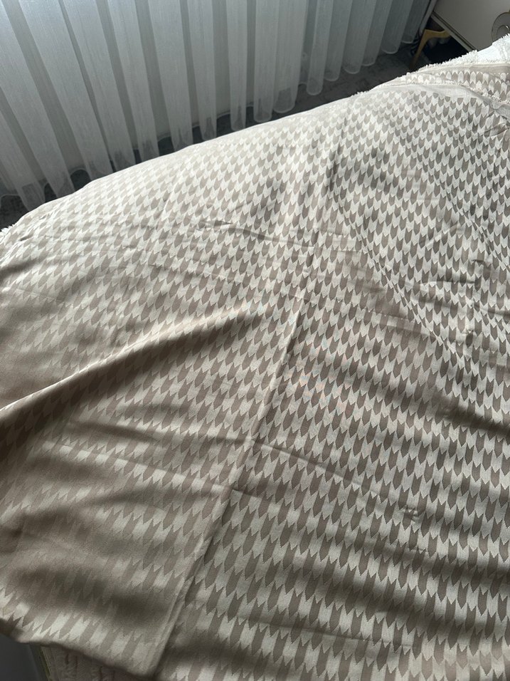 Bej Pileli Kadın Şal - Görsel 4