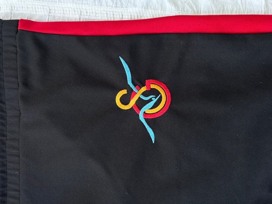 Galatasaray Şort - Görsel 2