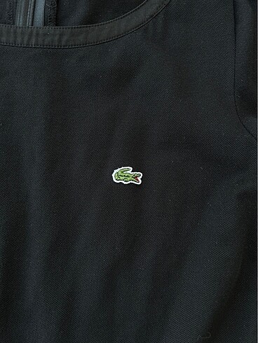 m Beden Lacoste Elbise