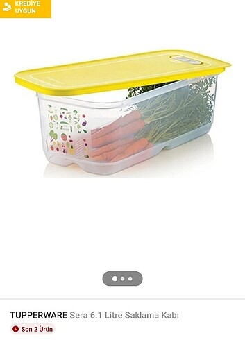 Tupperware sera saklama kabı 