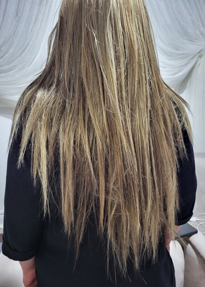 Küllü kumral - Görsel 2