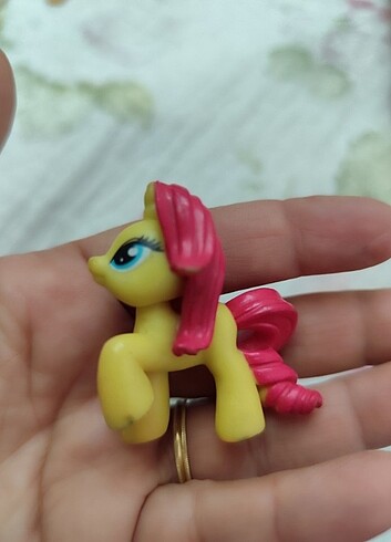 Küçük boy pony'ler - Görsel 5