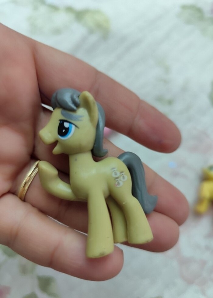 Küçük boy pony'ler - Görsel 2