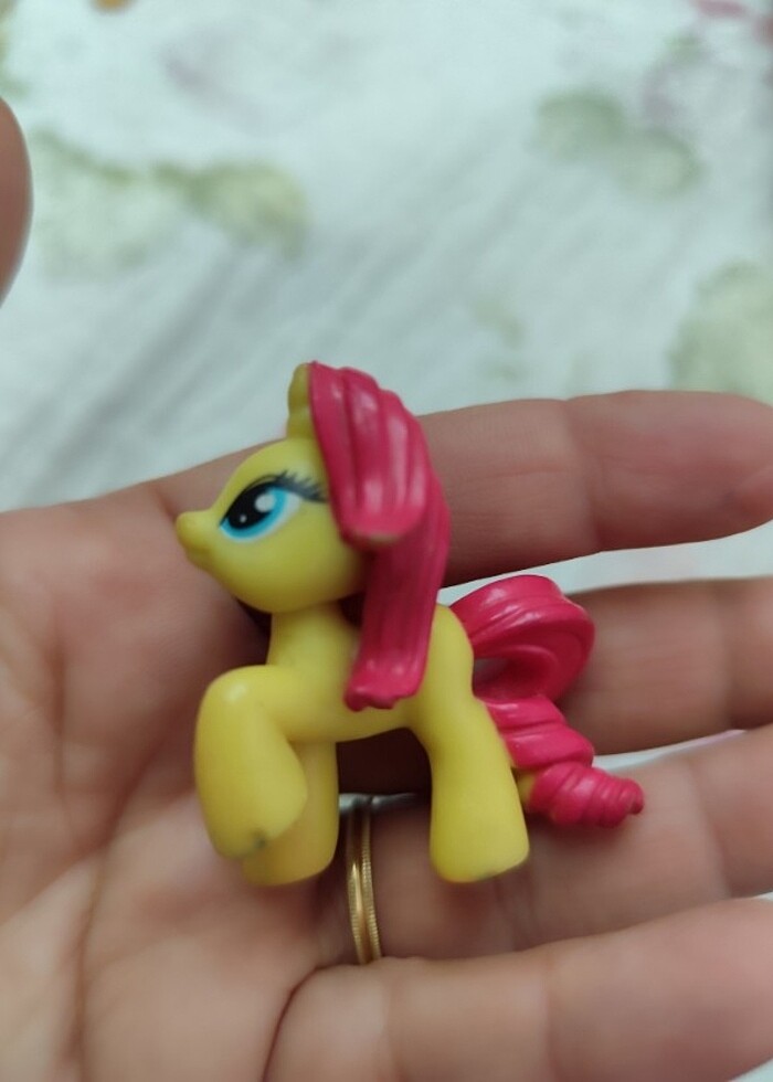 Küçük boy pony'ler - Görsel 5