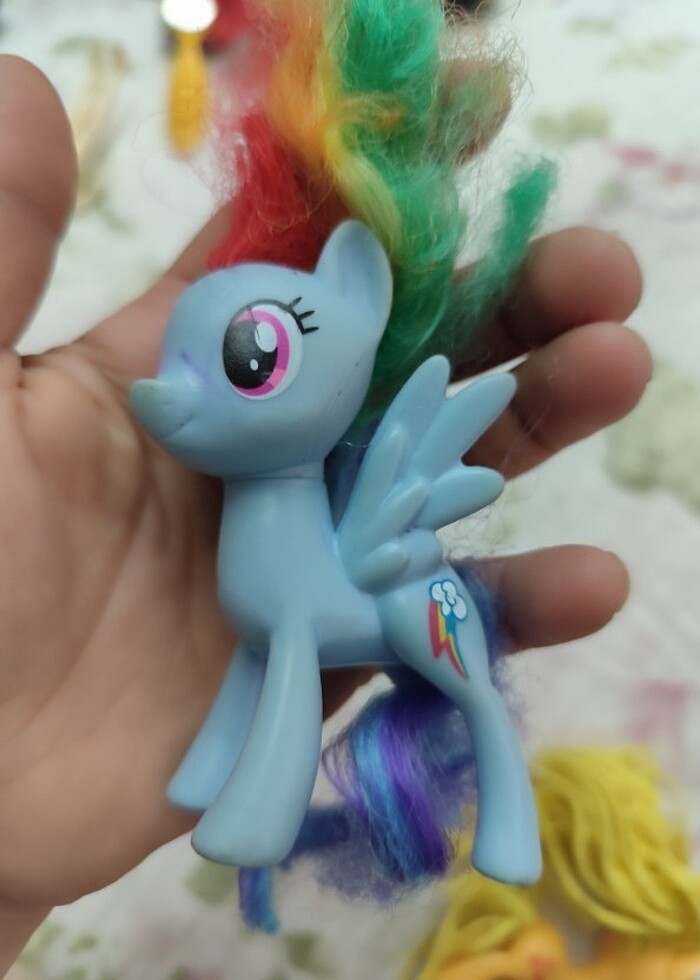 Orta boy pony'ler - Görsel 3