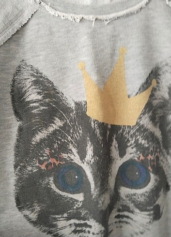 m Beden gri Renk Penye sweatshirt 