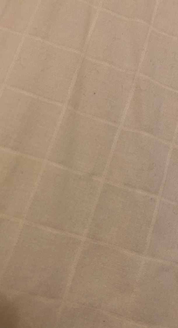 Bej Uzun Kollu Keten Erkek Gömlek - Görsel 4