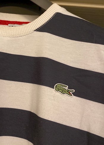 Erkek sweatshirt - Görsel 2