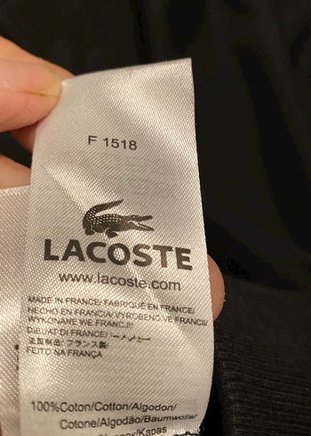 Lacoste erkek sweatshirt - Görsel 5