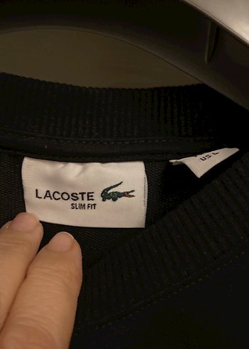 Lacoste erkek sweatshirt - Görsel 3