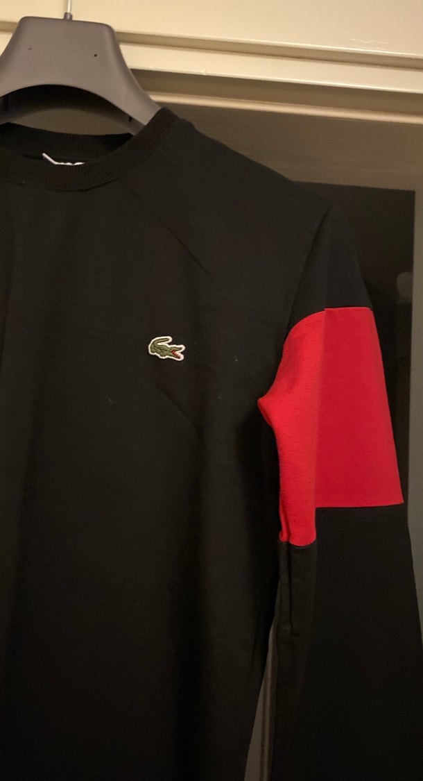 Lacoste erkek sweatshirt - Görsel 2