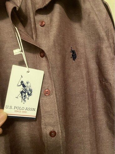 36 Beden Us polo assn bayan gömlek