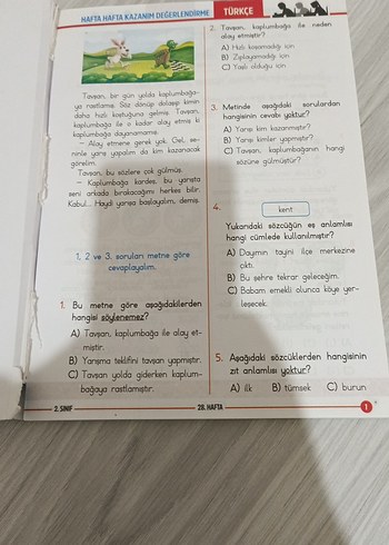 Beden Renk Jumbo Deneme 2. Sınıf - 36 Hafta