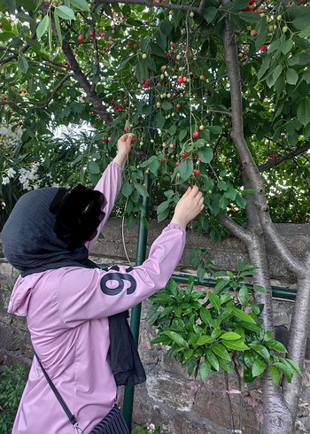 Pembe Kapüşonlu Yağmurluk - Görsel 2