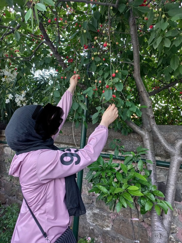 Pembe Kapüşonlu Yağmurluk - Görsel 2