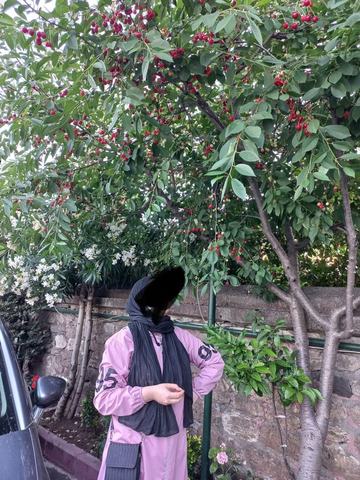 Pembe Kapüşonlu Yağmurluk - Görsel 3