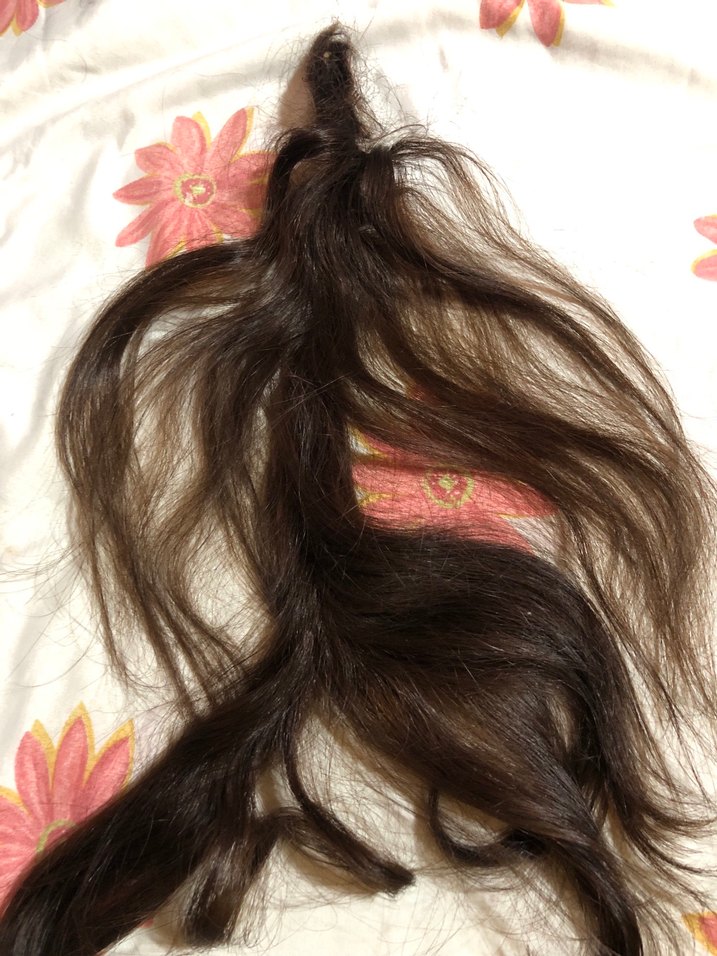 At kuyruğu gerçek saç - Görsel 3