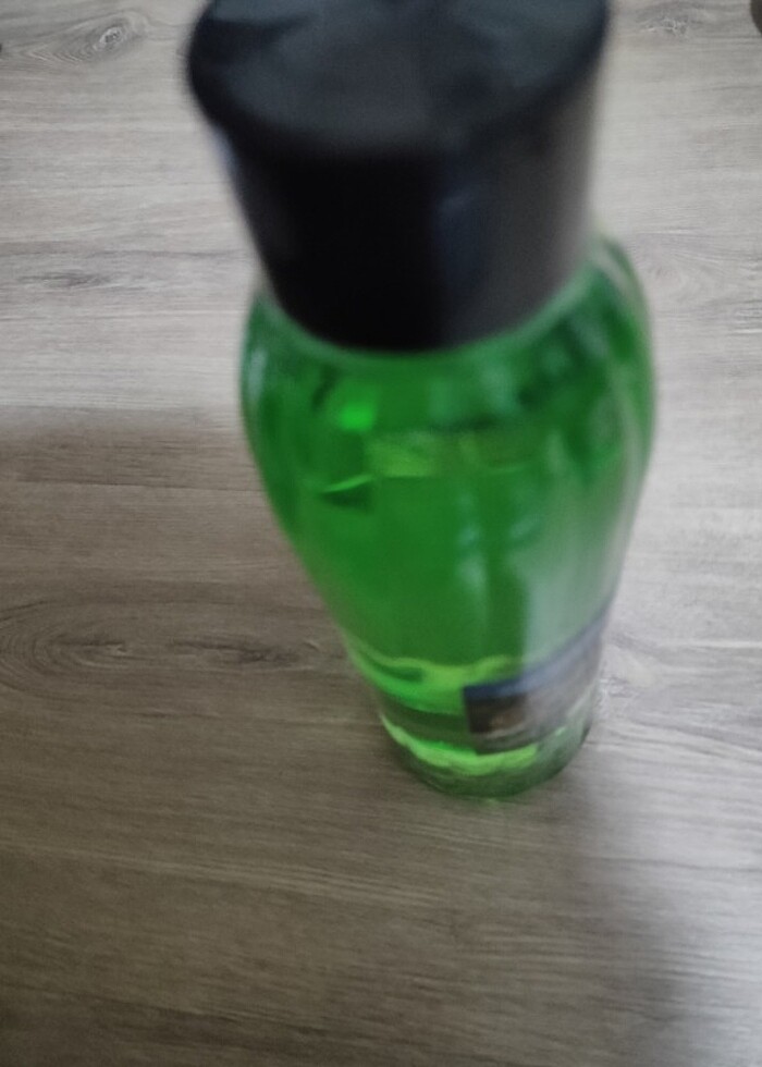 Orman gülü KOLONYASI - Görsel 3