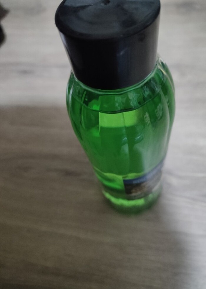 Orman gülü KOLONYASI - Görsel 4