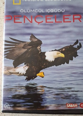 National Geographic VAHŞİ YAŞAM belgeseli - Görsel 5