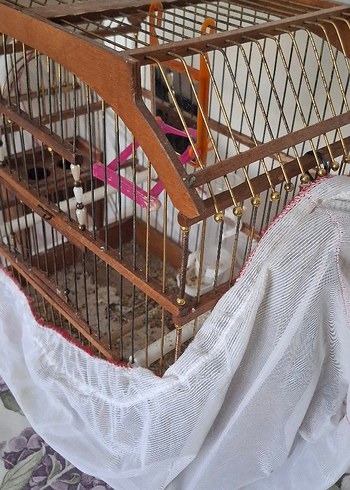 AHŞAP KAFES - Görsel 3