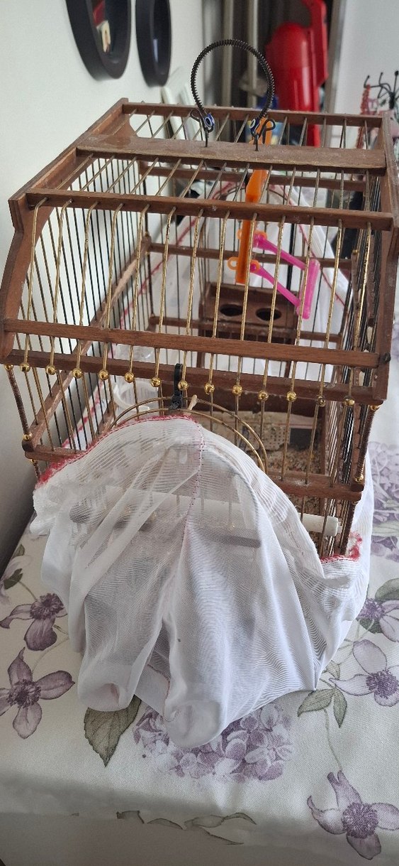 AHŞAP KAFES - Görsel 2