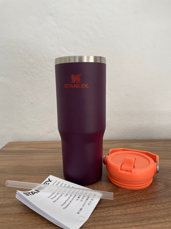 Stanley Mor Renkli Termos - Görsel 2