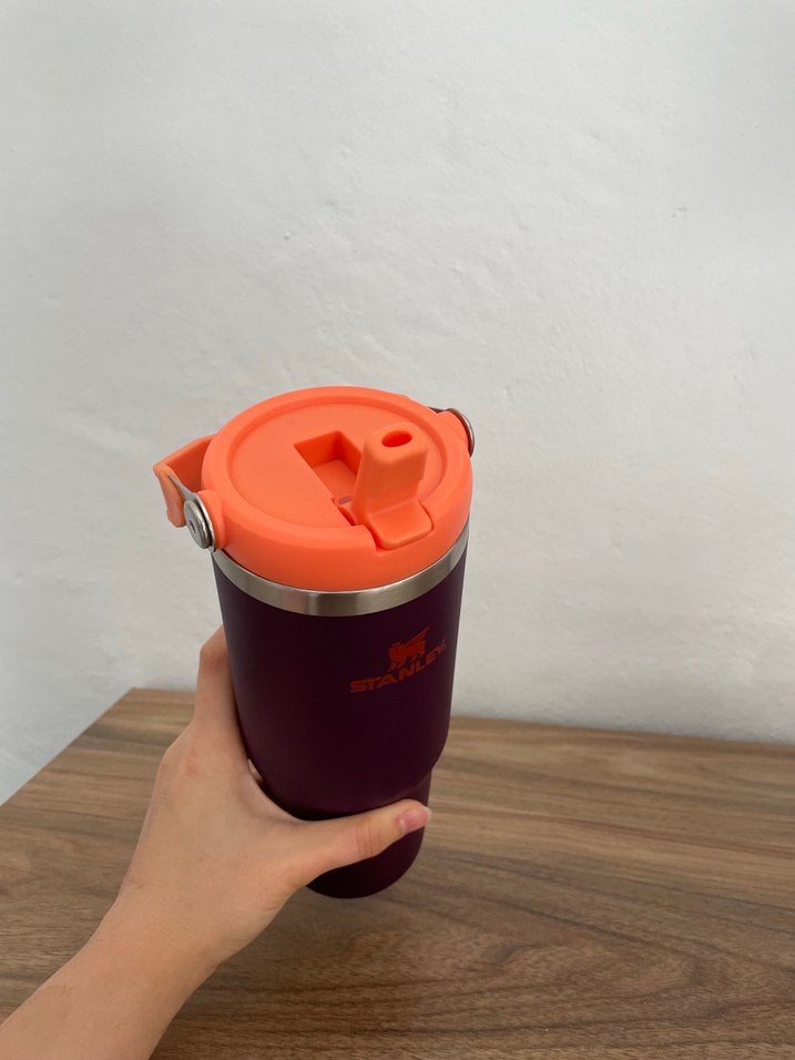 Stanley Mor Renkli Termos - Görsel 5