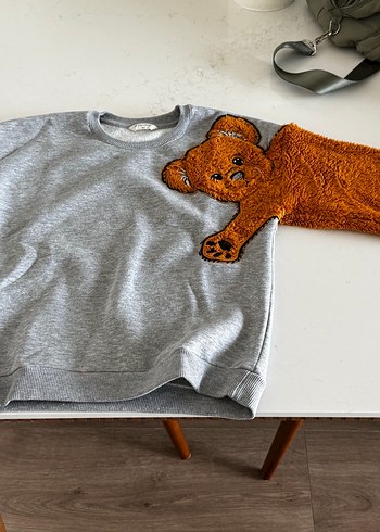 Erkek Çocuk Gri Sweatshirt Peluş Detaylı - Görsel 5