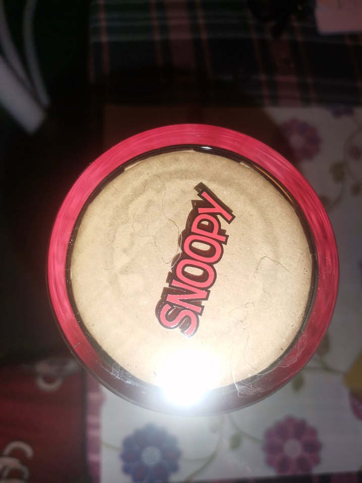 Peanuts Temalı 2 Parça Su Şişesi Seti - Görsel 4