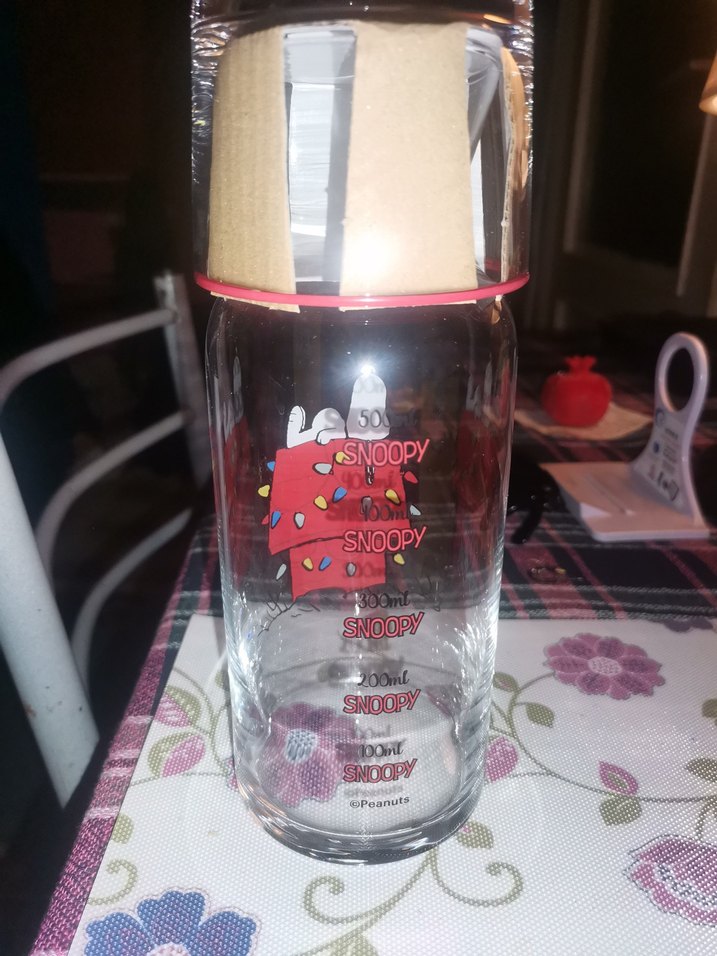 Peanuts Temalı 2 Parça Su Şişesi Seti - Görsel 3