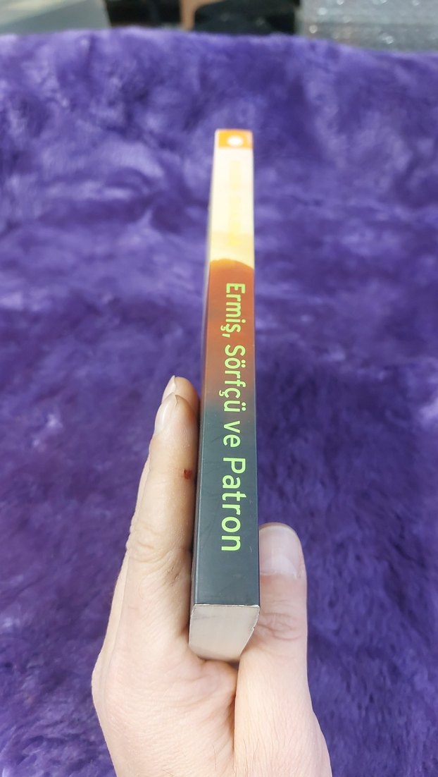 Ermiş, Sörfçü ve Patron - Robin Sharma - Görsel 3