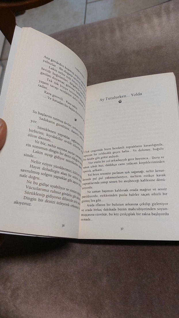 Can Dündar - Yarım Haziran Şiir Kitabı - Görsel 4