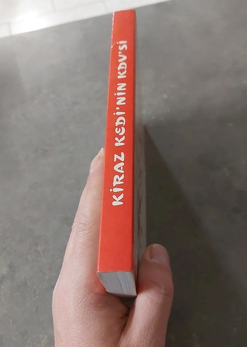 Kiraz Kedi'nin KDV'si - Şükrü Kızılot - Görsel 3