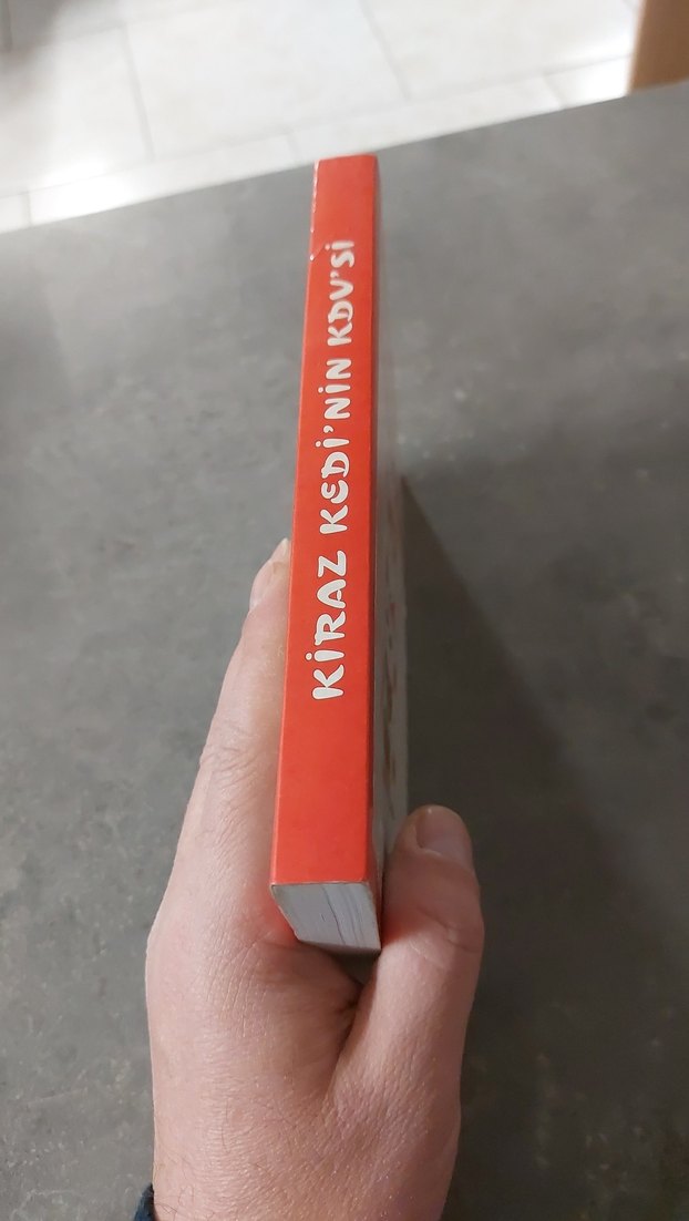 Kiraz Kedi'nin KDV'si - Şükrü Kızılot - Görsel 3