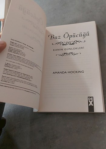 Buz Öpücüğü - Kanın Günlükleri Kitabı - Görsel 4