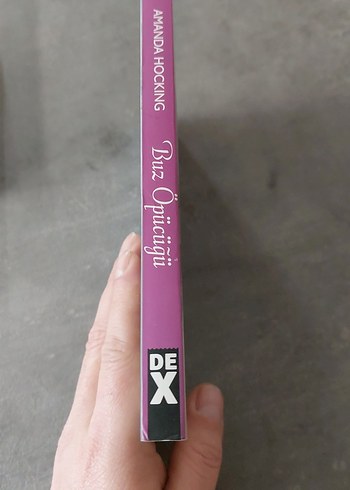 Buz Öpücüğü - Kanın Günlükleri Kitabı - Görsel 3