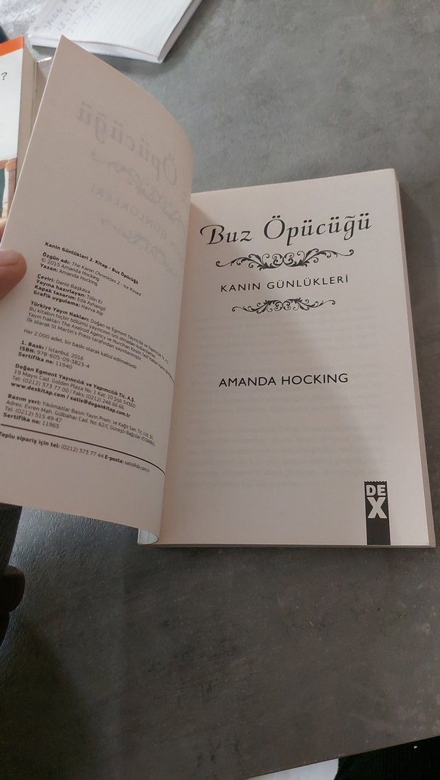 Buz Öpücüğü - Kanın Günlükleri Kitabı - Görsel 4