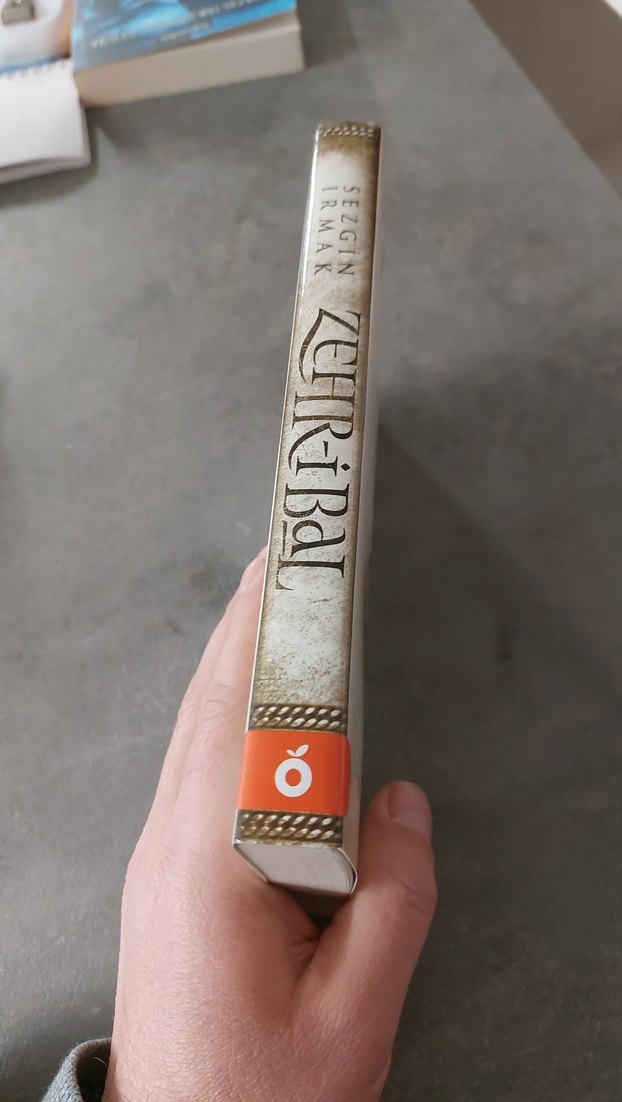 Zehr-i Bal - Sezgin Irmak Roman Kitap - Görsel 3