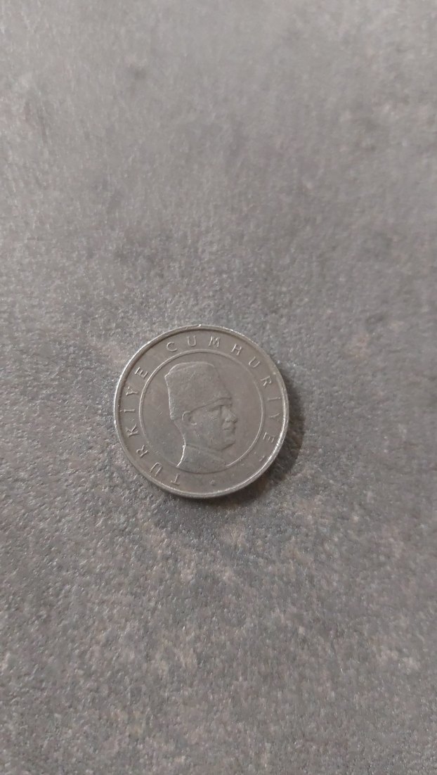 Gri 100 Bin Lira Madeni Para Rozeti - Görsel 2