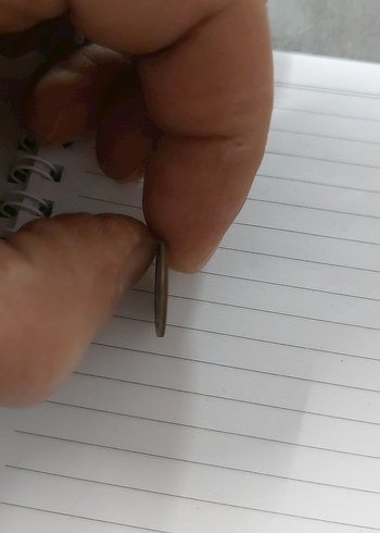 Vintage Erkek Rozeti - Gri Tonlarda - Görsel 3