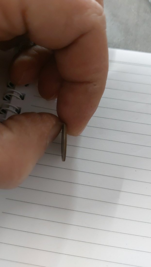 Vintage Erkek Rozeti - Gri Tonlarda - Görsel 3