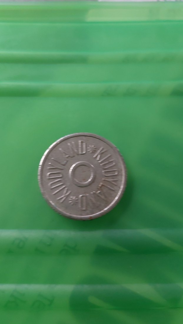 Gri Vintage Erkek Rozeti jeton - Görsel 2