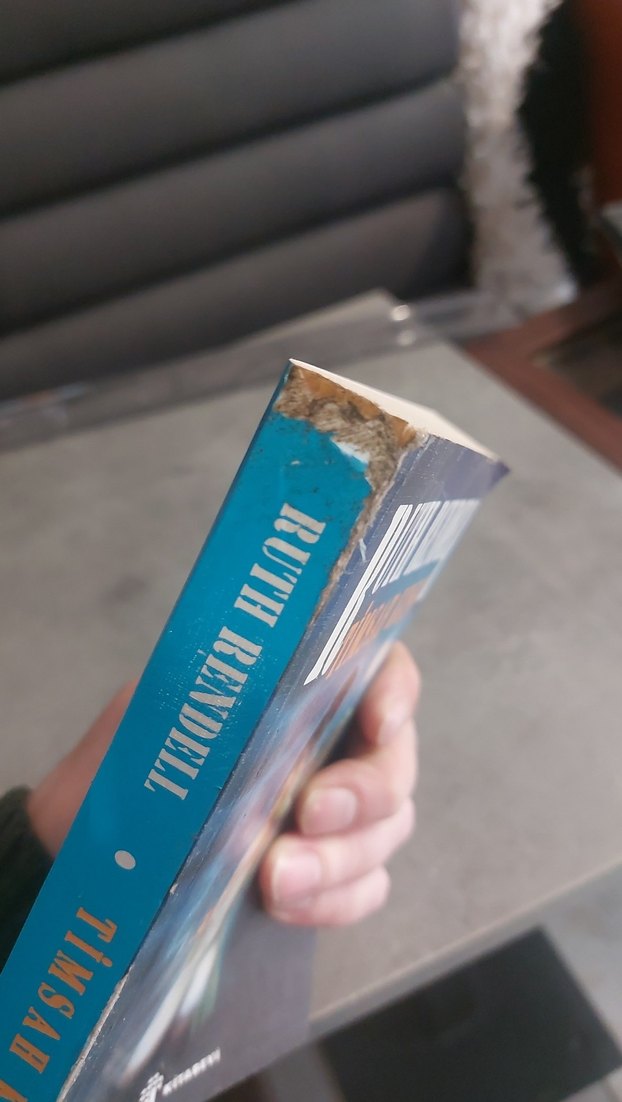 Ruth Rendell - Timsah Kuşu - Görsel 5