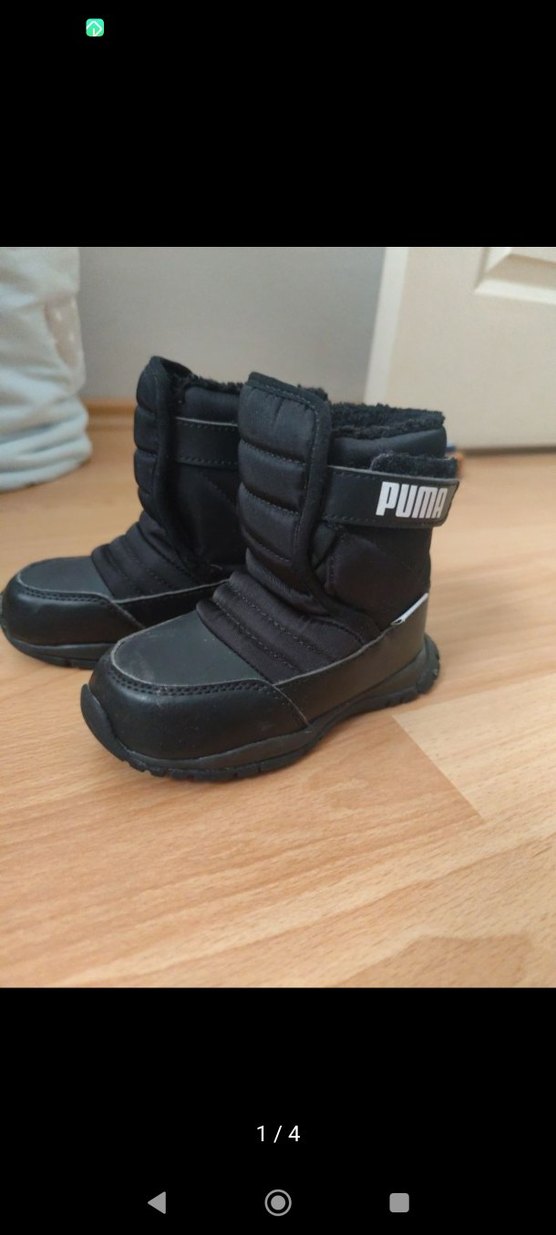 Puma bot — görsel 4/4