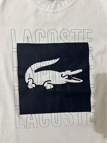 l Beden Lacoste M/L beden tişört