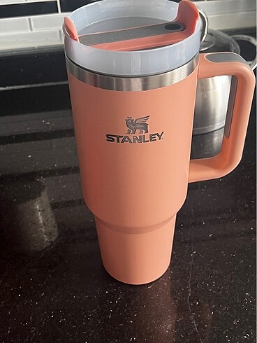 Diğer stanley termos