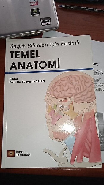 Temel anatomi kitabı 