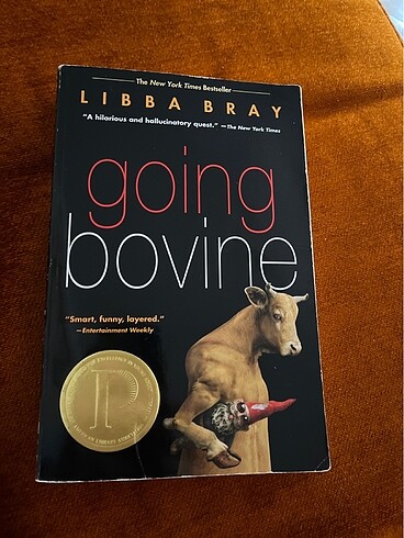 going bovine libba bray fantastik roman english book ingilizce e