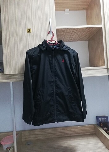Polo ceket 